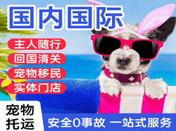 海西花土沟机场邮寄国际宠物托运 【国